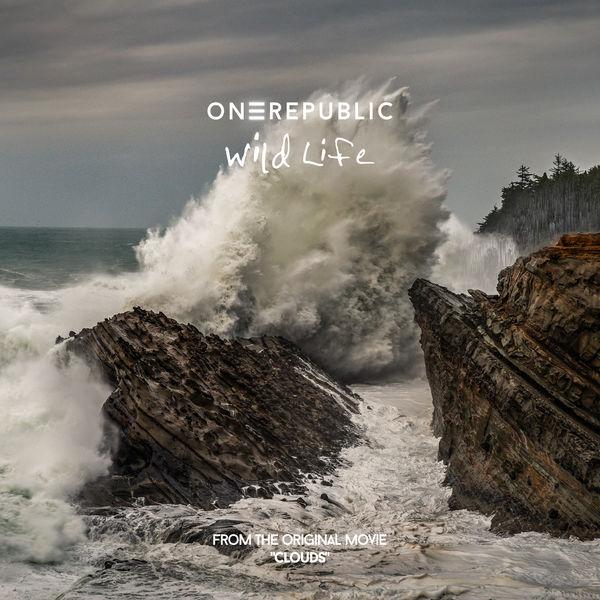 OneRepublic：Wild Life